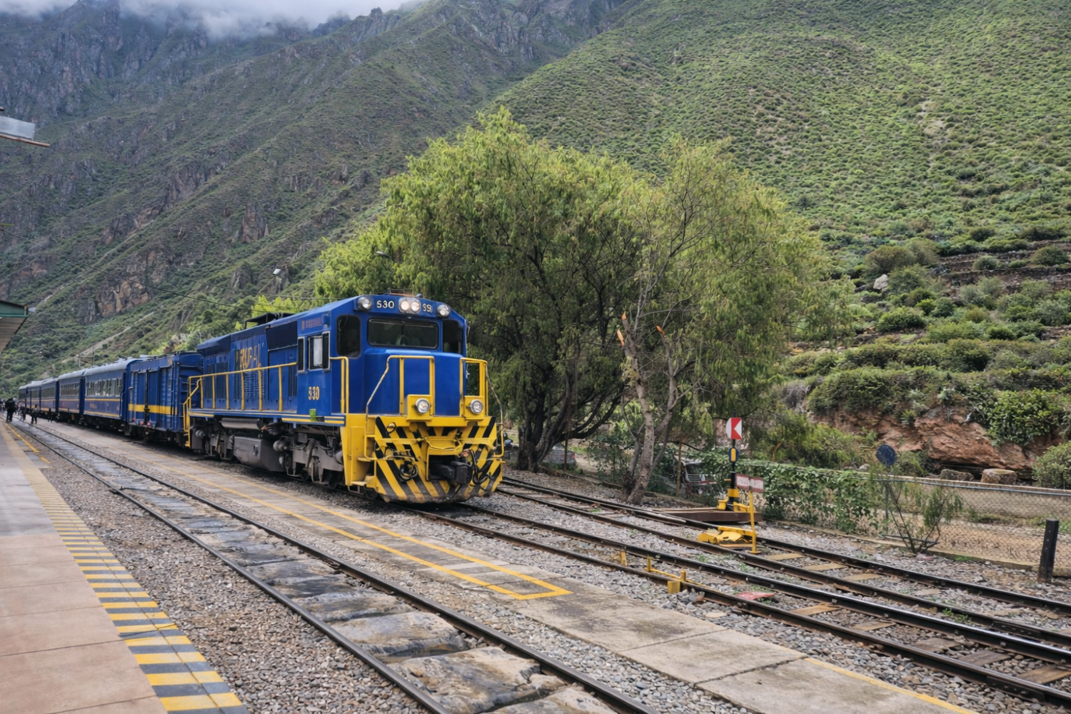 Tren-a-Machu-Picchu